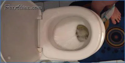 Scatting PooAlina Shit Eating as She Takes a Sweet Morning Selfie on the Toilet
