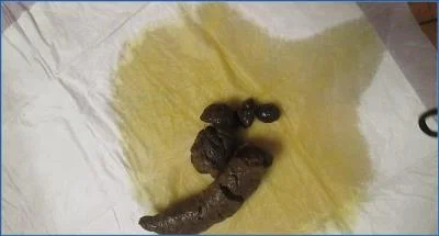SexyScatForYou- Big Shit and Pee- Real Filthy Solo Scat and Pissing
