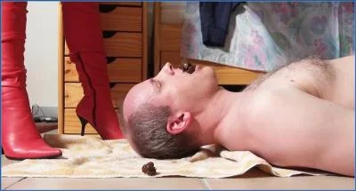 Lady Amy's Hardcore Toilet Slave Enema and Shitting video