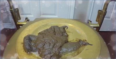 Love Rachelle's Hardcore Femdom Kaviar and Shitting mess show