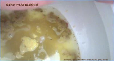 SexyFlatulence Delivers Diarrhea in the Toilet with Shitting, Pissing, and Farting Scat USA video