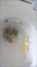 Mistress Jardena's Hardcore Pissing and Scat Play in Ready for Your Best Food