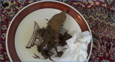Tegan's Extreme Fetish in Poop on a Plate- Real Copro Action