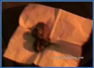 Ana Didovic in Hardcore Anal Copro and Enema Living Room Fetish