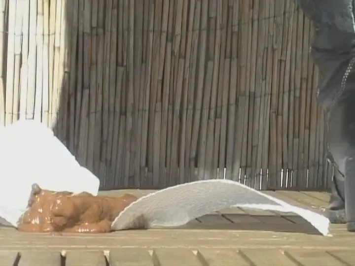 Amateur Scat Girl Delivers Sticky Brown Load and Smears It Everywhere